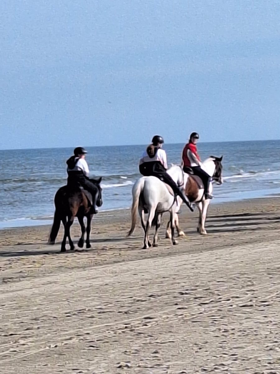 Reiten