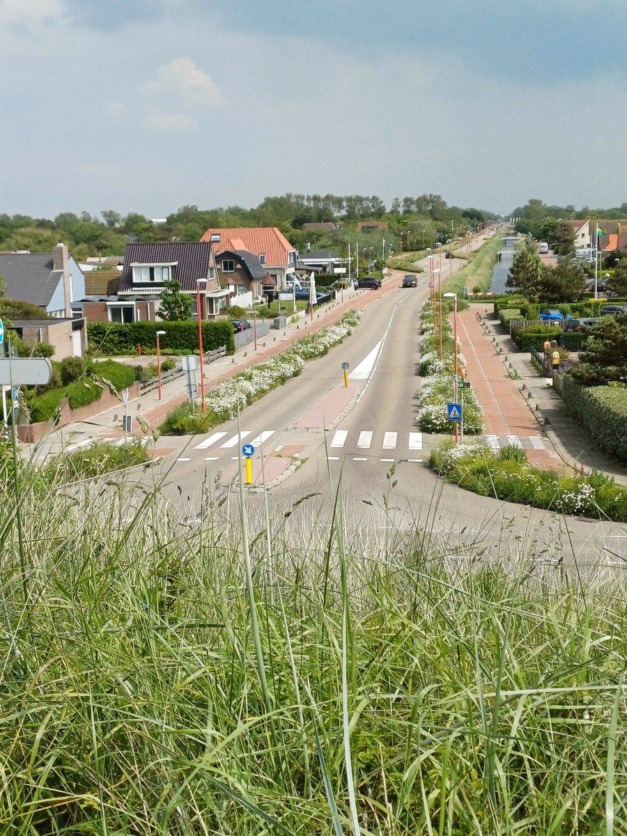 Straße nach Julianadorp