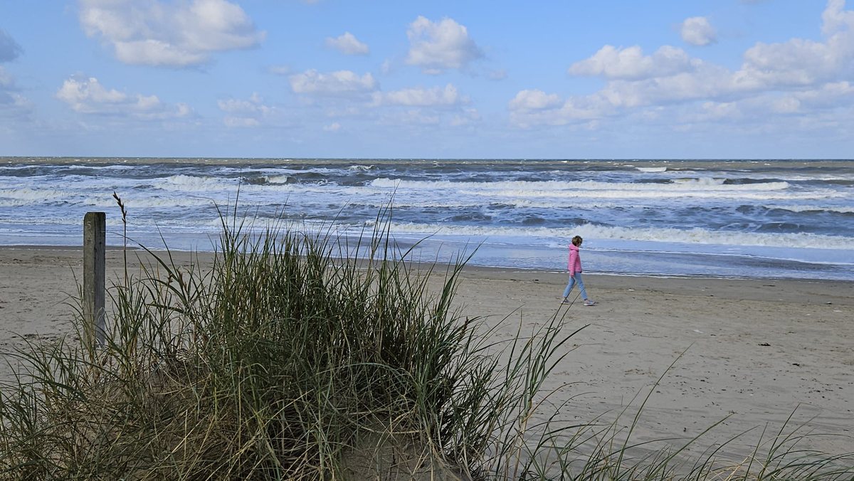 Strand 8