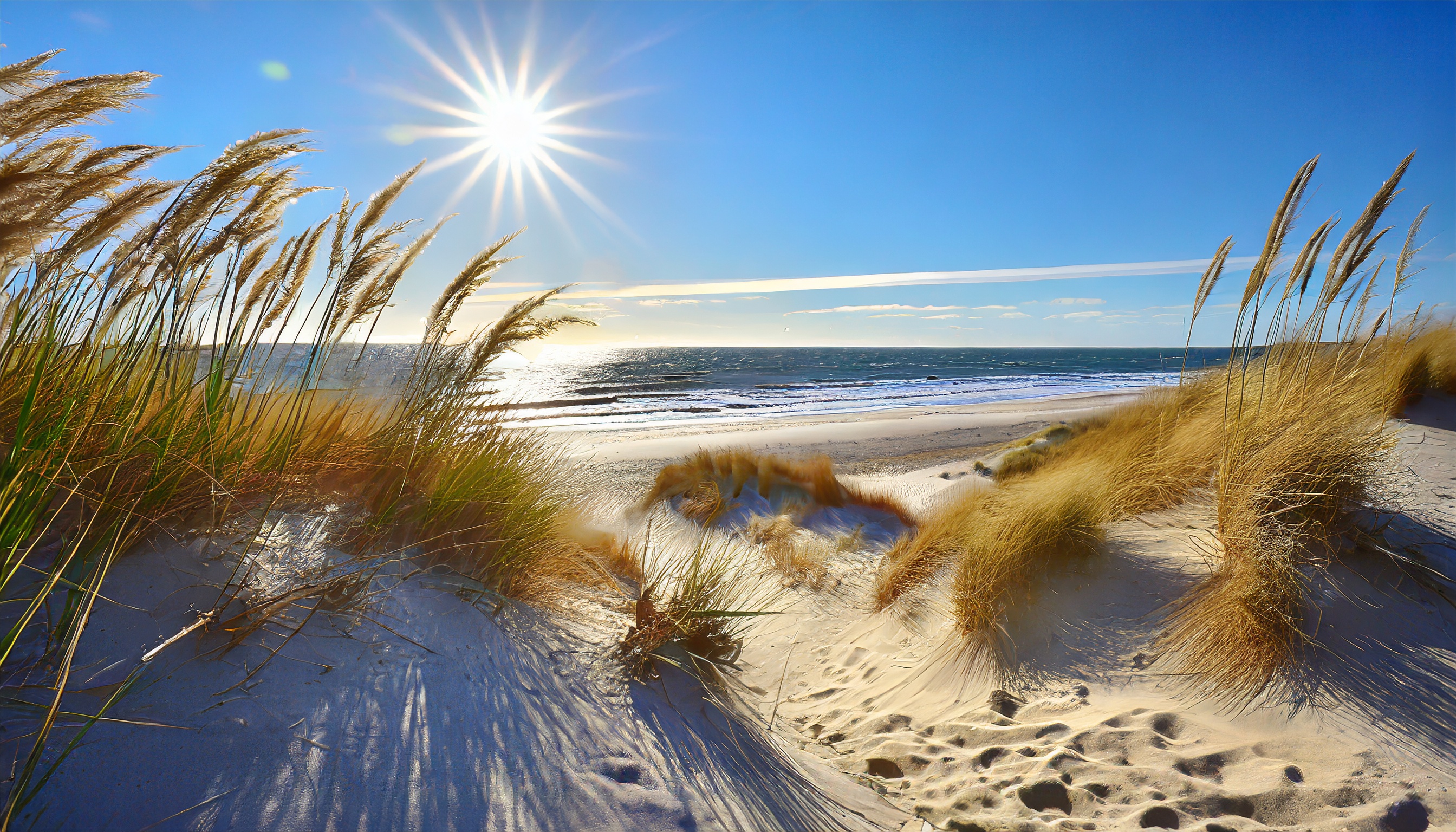 Dünen von Julianadorp aan Zee
